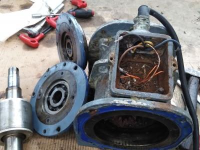 slinik elektryczny 1